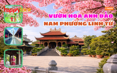 TOUR ĐỒNG THÁP - HOA ANH ĐÀO - KDL PHƯƠNG NAM 1 NGÀY