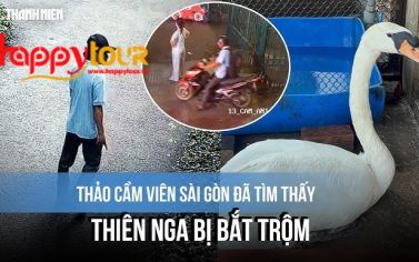 CỨU THIÊN NGA BỊ BẮT Ở THẢO CẦM VIÊN 